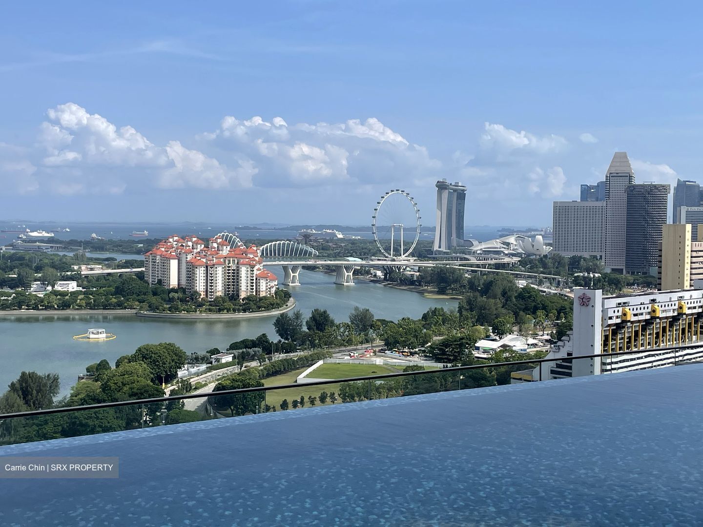 Kallang Riverside (D12), Apartment #482649141